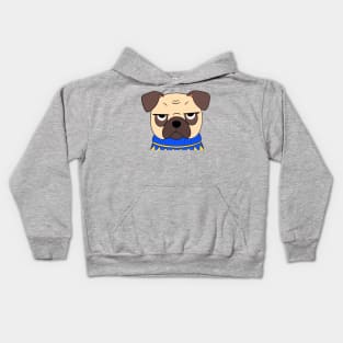 Funny Pug Kids Hoodie